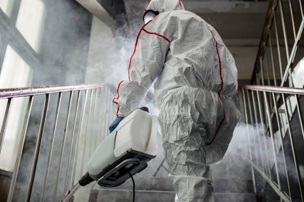 Best Industrial Mold Remediation  in Diamondhead, MS